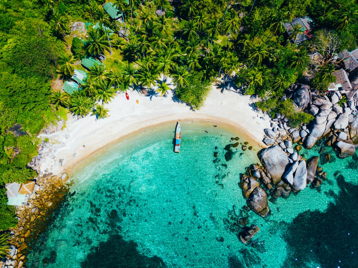 Aerial view of tropical island cove with turquoise water and palm trees