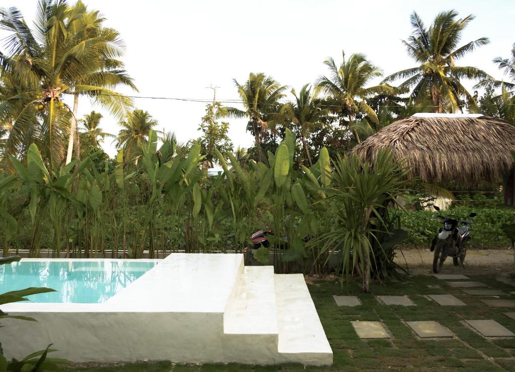 Pool area with palm trees, tropical plants, and thatched roof cabana