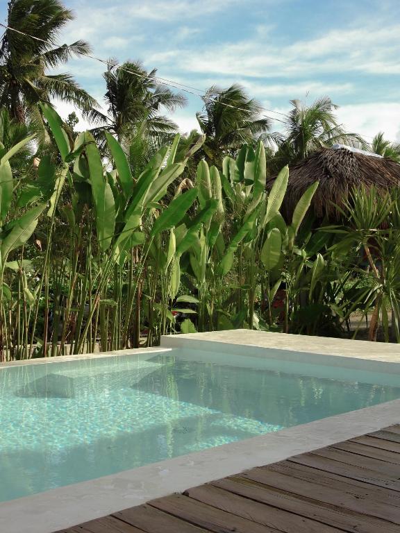 Swimming pool with tropical plants and palm trees at Single Fin